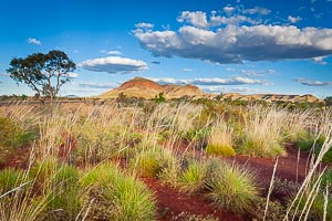 Picture of Pilbara Outback, The Pilbara, Western Australia, Australia