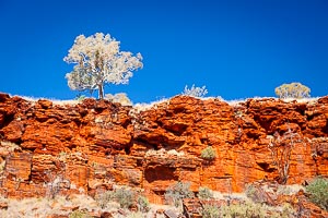 Picture of Karijini National Park, The Pilbara, Western Australia, Australia
