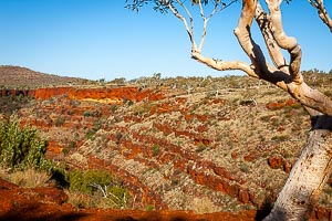 Picture of Karijini National Park, The Pilbara, Western Australia, Australia