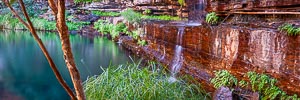 Picture of Karijini National Park, The Pilbara, Western Australia, Australia