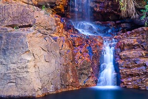 Picture of Mornington Station, Kimberley, Western Australia, Australia