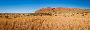 Picture of Mornington Station, Kimberley, Western Australia, Australia