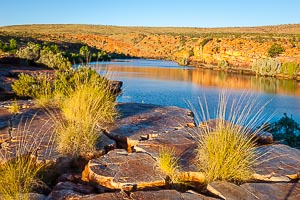 Picture of Mornington Station, Kimberley, Western Australia, Australia