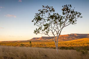 Picture of Cockburn Ranges, Kimberley, Western Australia, Australia