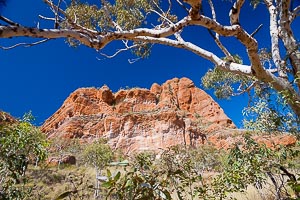 Picture of Purnululu National Park, Kimberley, Western Australia, Australia