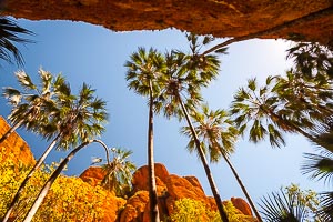 Picture of Purnululu National Park, Kimberley, Western Australia, Australia