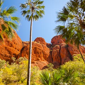Picture of Purnululu National Park, Kimberley, Western Australia, Australia