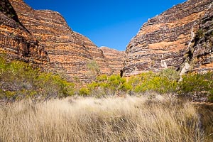 Picture of Purnululu National Park, Kimberley, Western Australia, Australia