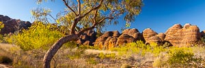 Picture of Purnululu National Park, Kimberley, Western Australia, Australia