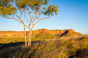 Picture of Purnululu National Park, Kimberley, Western Australia, Australia