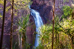 Picture of Litchfield National Park, Darwin and Surrounds, Northern Territory, Australia