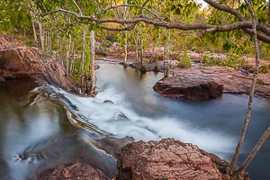 Picture of Litchfield National Park, Darwin and Surrounds, Northern Territory, Australia