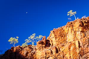 Picture of MacDonnell Ranges, Central Australia, Northern Territory, Australia