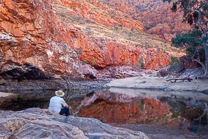 Picture of MacDonnell Ranges, Central Australia, Northern Territory, Australia