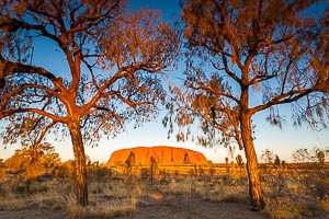 Picture of Uluru Kata Tjuta National Park, Central Australia, Northern Territory, Australia