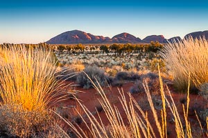 Picture of Uluru Kata Tjuta National Park, Central Australia, Northern Territory, Australia