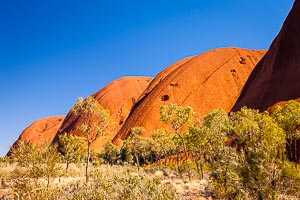 Picture of Uluru Kata Tjuta National Park, Central Australia, Northern Territory, Australia