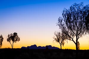 Picture of Uluru Kata Tjuta National Park, Central Australia, Northern Territory, Australia