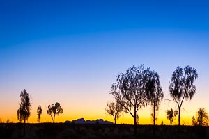 Picture of Uluru Kata Tjuta National Park, Central Australia, Northern Territory, Australia