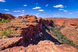 Picture of Kings Canyon Watarrka National Park, Central Australia, Northern Territory, Australia