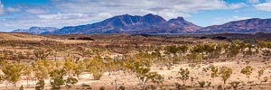 Picture of MacDonnell Ranges, Central Australia, Northern Territory, Australia