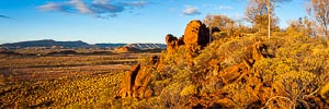 Picture of MacDonnell Ranges, Central Australia, Northern Territory, Australia