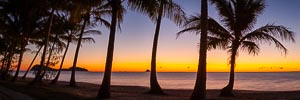Picture of Palm Cove, Far North Queensland, Queensland, Australia