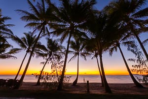 Picture of Palm Cove, Far North Queensland, Queensland, Australia