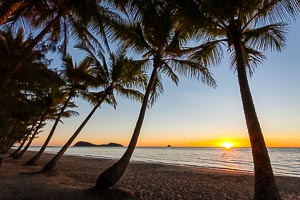 Picture of Palm Cove, Far North Queensland, Queensland, Australia