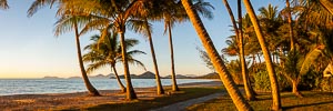Picture of Palm Cove, Far North Queensland, Queensland, Australia