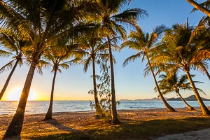 Picture of Palm Cove, Far North Queensland, Queensland, Australia