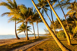 Picture of Palm Cove, Far North Queensland, Queensland, Australia