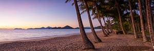 Picture of Palm Cove, Far North Queensland, Queensland, Australia