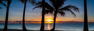 Picture of Palm Cove, Far North Queensland, Queensland, Australia