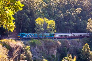 Picture of Kuranda, Far North Queensland, Queensland, Australia