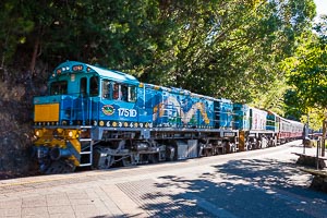 Picture of Kuranda, Far North Queensland, Queensland, Australia
