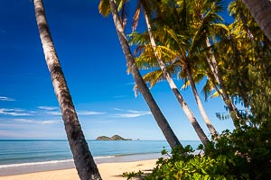 Picture of Ellis Beach, Far North Queensland, Queensland, Australia