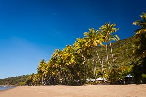 Picture of Ellis Beach, Far North Queensland, Queensland, Australia