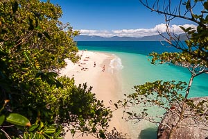 Picture of Fitzroy Island, Far North Queensland, Queensland, Australia