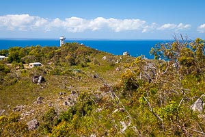 Picture of Fitzroy Island, Far North Queensland, Queensland, Australia