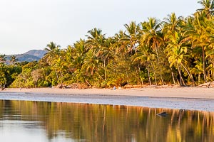 Picture of Port Douglas, Far North Queensland, Queensland, Australia