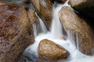 Picture of Mossman, Far North Queensland, Queensland, Australia