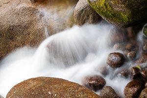 Picture of Mossman, Far North Queensland, Queensland, Australia