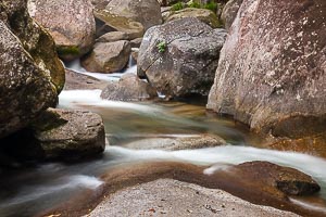 Picture of Mossman, Far North Queensland, Queensland, Australia