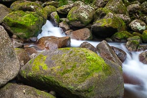 Picture of Mossman, Far North Queensland, Queensland, Australia