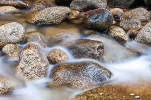 Picture of Mossman, Far North Queensland, Queensland, Australia