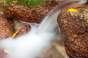 Picture of Mossman, Far North Queensland, Queensland, Australia