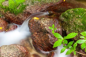 Picture of Mossman, Far North Queensland, Queensland, Australia