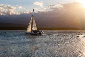 Picture of Port Douglas, Far North Queensland, Queensland, Australia