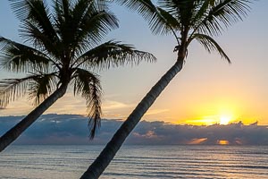 Picture of Mossman, Far North Queensland, Queensland, Australia